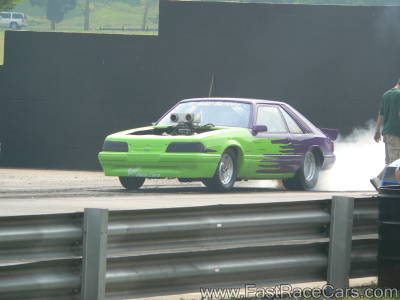 MUSTANG MUSTANG